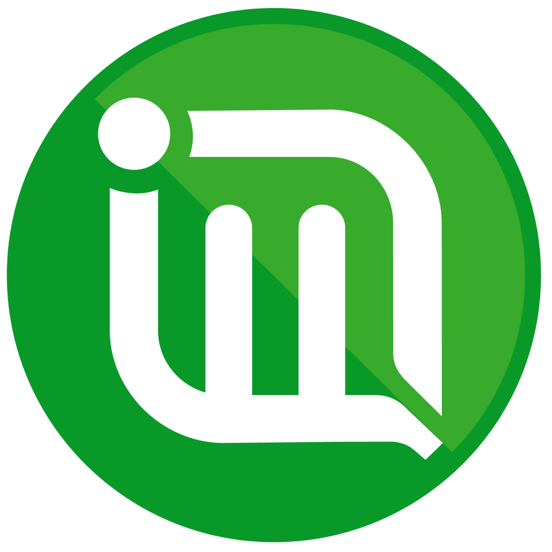 involveMINT Logo